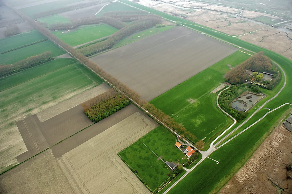 Hedwigepolder